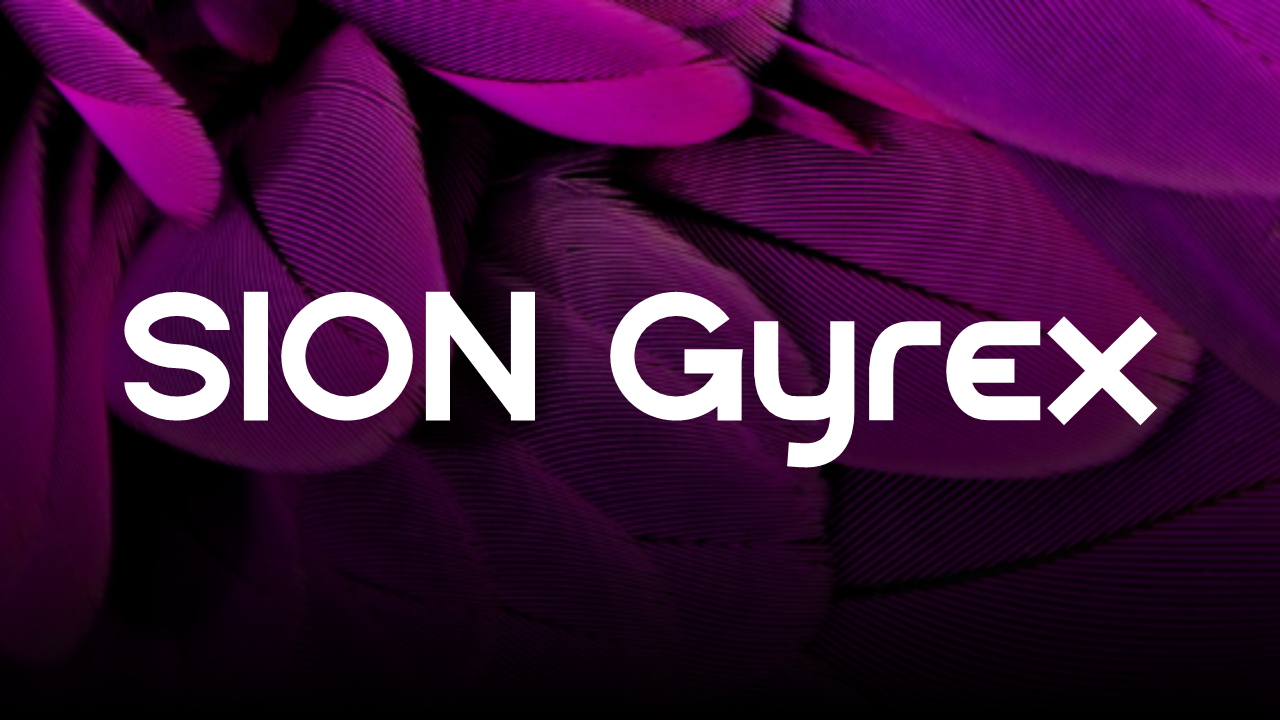 SION Gyrex Banner